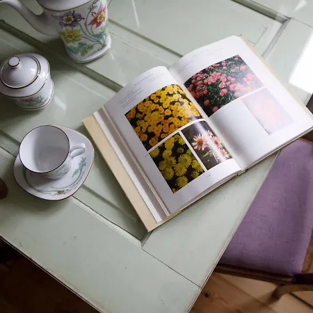 Sommerfrische * Lychen