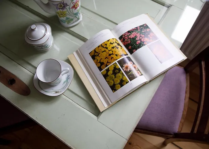 Sommerfrische * Lychen